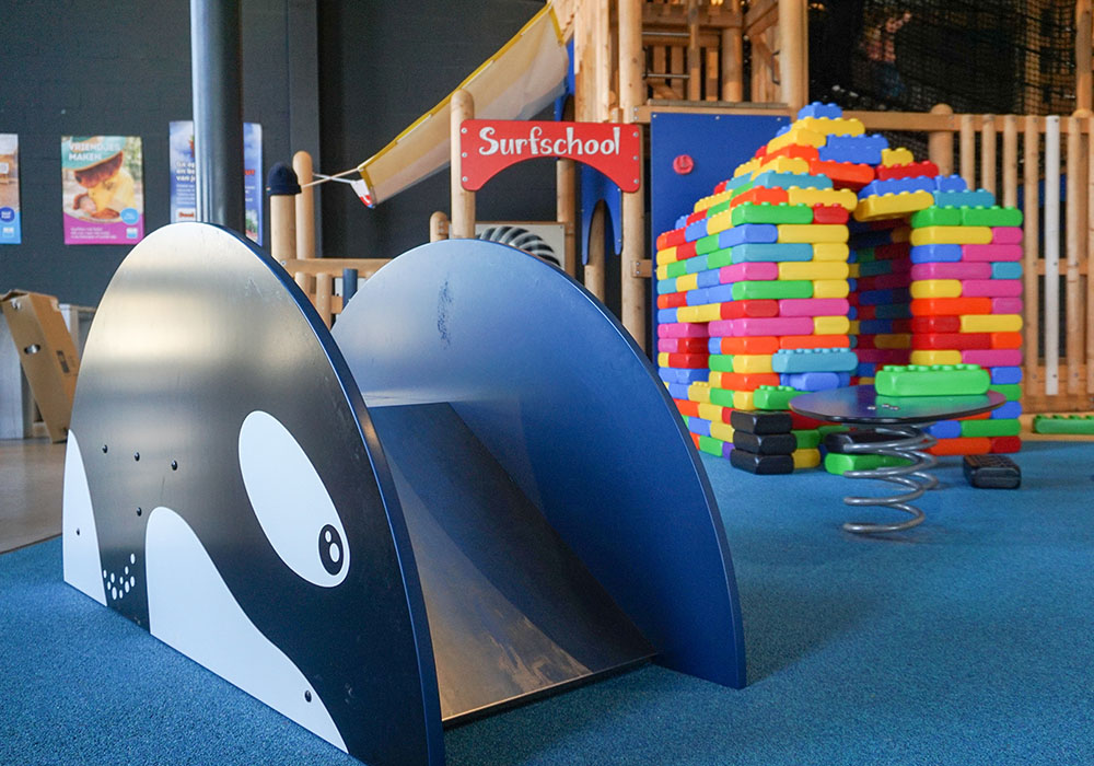 Orca Slide Arctic Orca Slide Play System